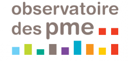 PME 2017, Rapport annuel sur l'évolution des PME